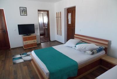 Hotel/Pensiune, de 16 mp, în Rânca - 11