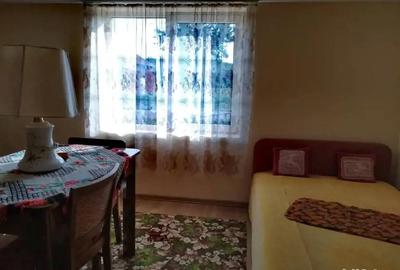 Casă cu 6 camere cu Teren 3000 Mp în Mănăștiur - 3