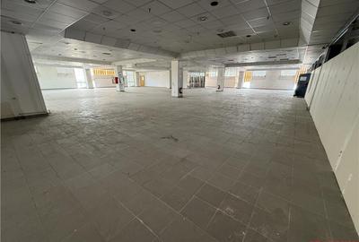 Ultracentral - Magazin Luceafarul - etajul 3 (integral) - 20