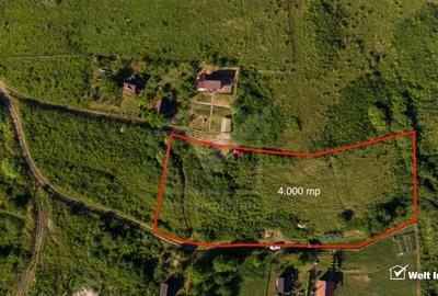 Teren intravilan de 4000 mp pe str. Frunzisului zona Wings - 2