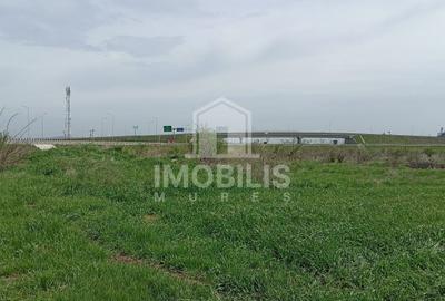 Teren agricol extravilan de 44356 mp, în Exterior Vest - 4