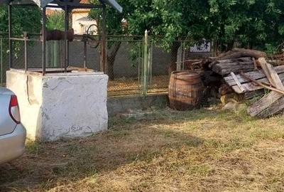 Casă cu 4 camere în Peșteana - 4