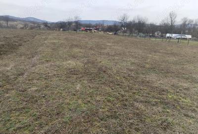 Teren de 3000 mp, în Vața de Jos - 4