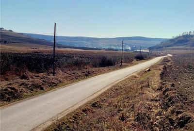Teren de 800 mp, în Voiniceni - 3