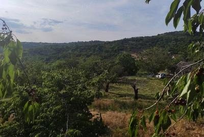 Teren de 3989 mp, în Podgoria