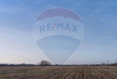 Teren de 7469 mp, în Central - 1