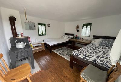 Casă cu 2 camere în Bătrâna - 4