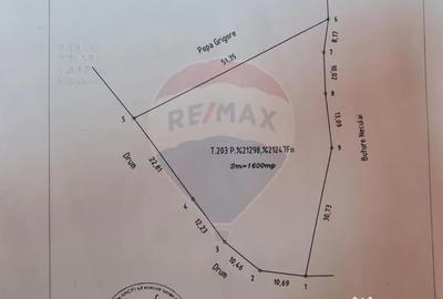 Teren de 1600 mp, în Păulești - 1