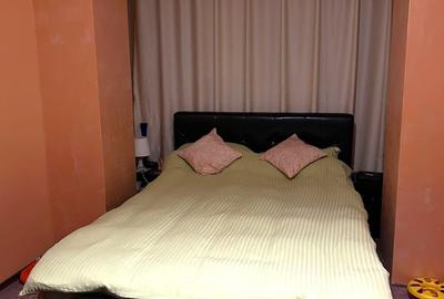 Apartament cu 3 camere decomandat în Teiul Doamnei - 6