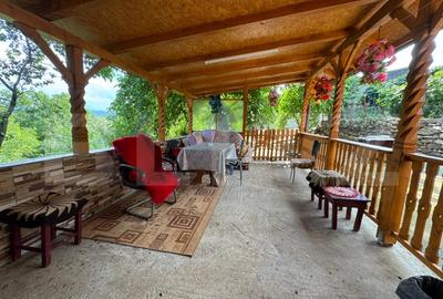Casa cu 3 camere, 70 mp, in Ghelari - 12