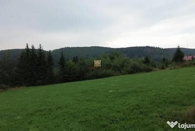 Teren de 5023 mp, în Voroneț - 4