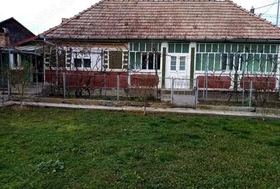 Casa de vanzare cu gradina Iclandu Mare Casa de vanzare cu gradina Iclandu Mare - 4