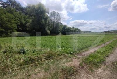 Teren de 850 mp, în Șintereag - 2