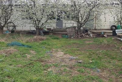 Casă în Chiscani - 7