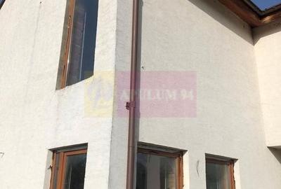 Vila la rosu Zarnesti- Mitropolit Metianu cu vedere superba spre munte - 4