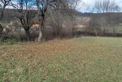 Teren Intravilan Ideal Pt Casa de Vacanta ,Valea Dobarlaului - 3