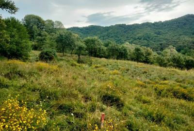 Spațiu comercial, în Central - 3