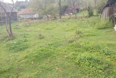 Vand casa si gradina - 3