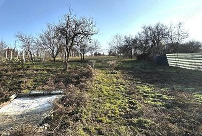 Casă cu 3 camere cu Teren 1320 Mp în Ighiu - 19