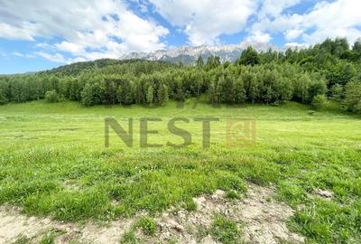 Teren Construcții intravilan de 12150 mp, în Plaiul Foii - 4