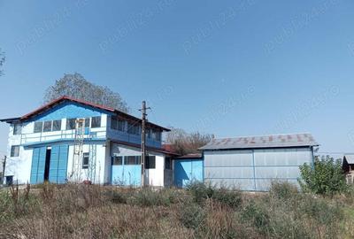 Teren de 2500 mp, în Tismana - 5