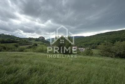 Teren de 4000 mp, în Ampoița - 1