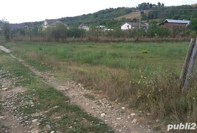 Teren de 3000 mp, în Budeasa - 1