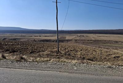 Spațiu comercial, în Mitocu Dragomirnei - 5