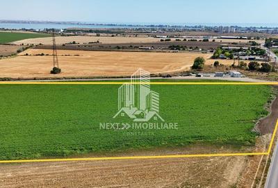 Teren extravilan 28.405mp Poiana - 4