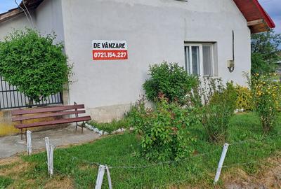 Casă cu 3 camere cu Teren 2877 Mp în Bethausen - 2