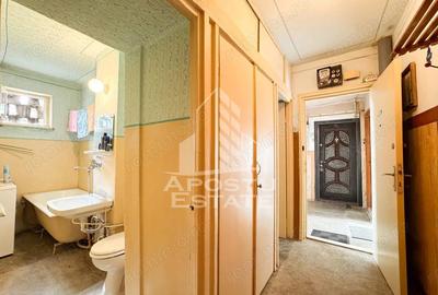 Apartament cu 2 camere semidecomandat, mobilat în Iosefin