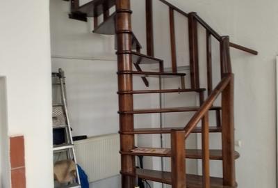 Vanzare Vila/casa P+1 Budesti pretabil mica productie/azil de batrani - 7