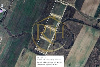 Teren Construcții intravilan de 12406 mp, în Urseni - 5