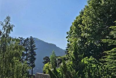 Apartament superb cu terasa generoasa in Bellevue Residence - 2