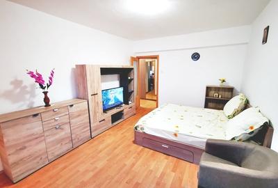 Garsonieră decomandată, mobilată în Valea Oltului - 13