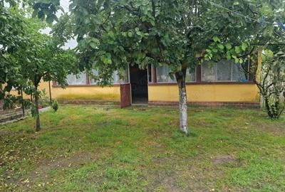 Casă cu Teren 2100 Mp în Lunca - 8
