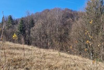 Teren de 16600 mp, în Petros