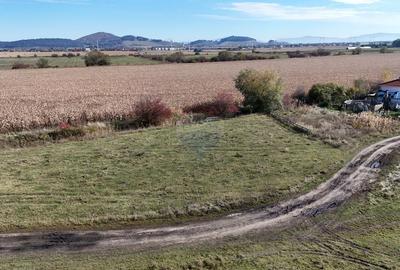 Comision 0% | Teren intravilan 600 mp | SANPETRU - 5