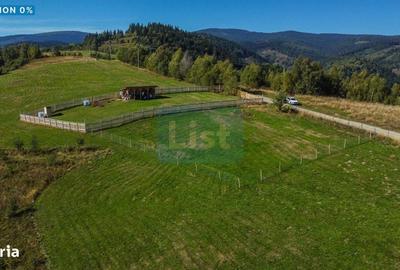 Teren de 1000 mp, în Băișoara - 11