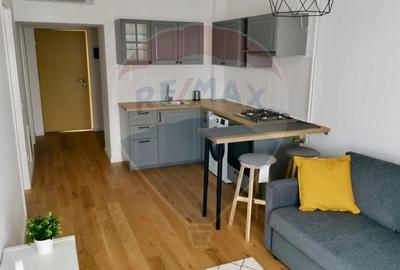 Apartament/Studio de inchiriat Aviatiatiei Park - 12