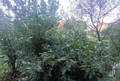 Apartament 4 camere de inchiriat in zona Zorilor - 15