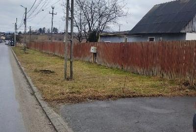 Teren Construcții intravilan de 6500 mp, în Albești - 3