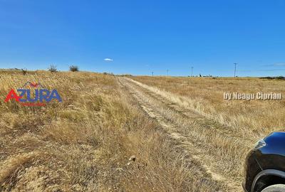 Teren Construcții intravilan de 2000 mp, în Bradu - 5