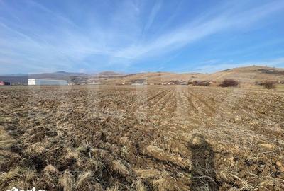Teren de 13000 mp, în Ighiu - 2