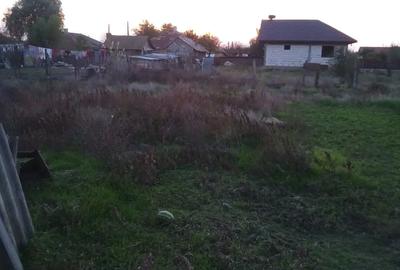 Casa batraneasca de vanzare - 7