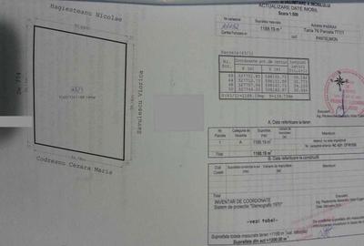 Spațiu comercial, în Central - 1