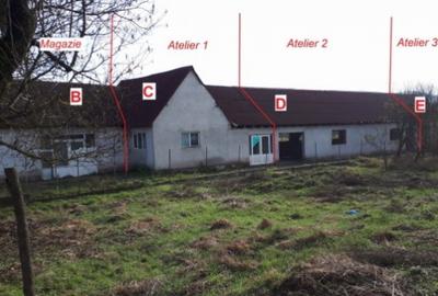 Spatiu depozitare si productie Creaca - 1