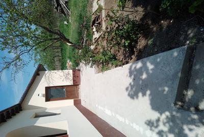 Giurgiu, Comana, Vlad Tepes - 9