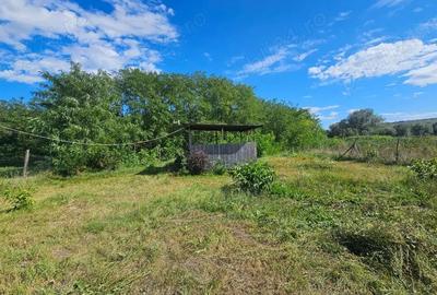 Teren de 2300 mp, în Borșa - 8