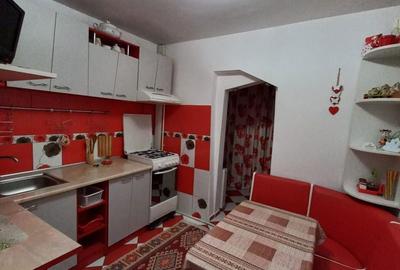 Apartament cu 2 camere decomandat în Lacu - 1